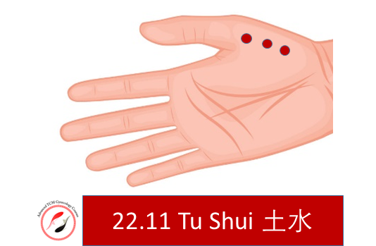 https://www.sinimed.co.il/wp-content/uploads/2021/01/22.11-Tu-Shui-Tungs-acupuncture-point.png